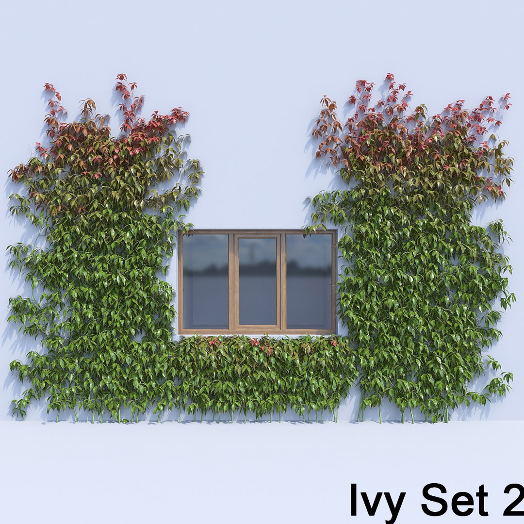 3d ivy leaf grass https://p.turbosquid.com/ts-thumb/ls/rXG0GS/p6uF3P6j/22/jpg/1450003441/1920x1080/fit_q87/d31615ee65fb5c12e77b6794f49769e204c157a2/22.jpg