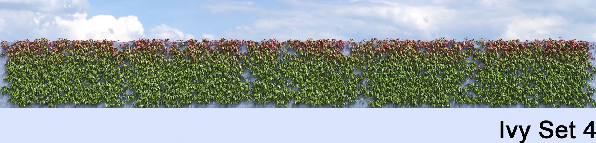 3d ivy leaf grass https://p.turbosquid.com/ts-thumb/ls/rXG0GS/phRZIHMI/45/jpg/1450003442/1920x1080/fit_q87/e9438e1cab5b7519a1e3b605af6dd1d771a0c4ae/45.jpg
