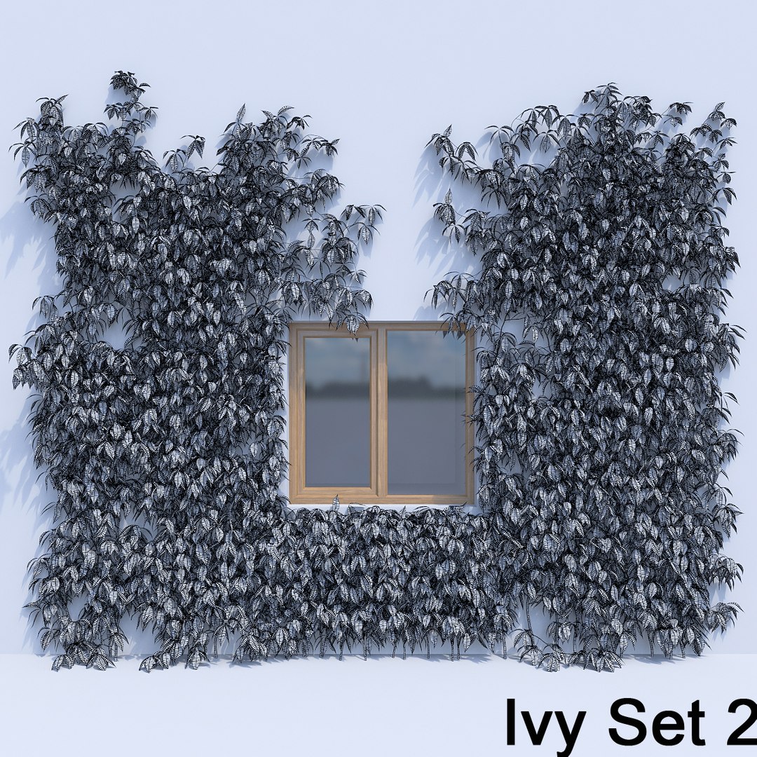 3d ivy leaf grass https://p.turbosquid.com/ts-thumb/ls/rXG0GS/rFUnRurq/21/jpg/1450003441/1920x1080/fit_q87/f752ada9eeaaa43e246e8116665da253c065aa4a/21.jpg