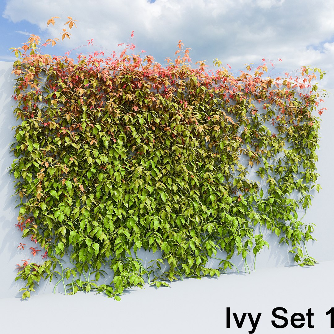 3d ivy leaf grass https://p.turbosquid.com/ts-thumb/ls/rXG0GS/xyf2TunO/03/jpg/1450003440/1920x1080/fit_q87/0ee3a0e3be07410ac98b09272fea8caebb67f685/03.jpg