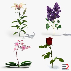 flowers 2 orchid lilac 3ds
