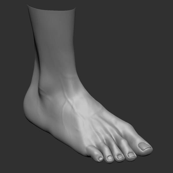 3D beauty foot model - TurboSquid 1218498