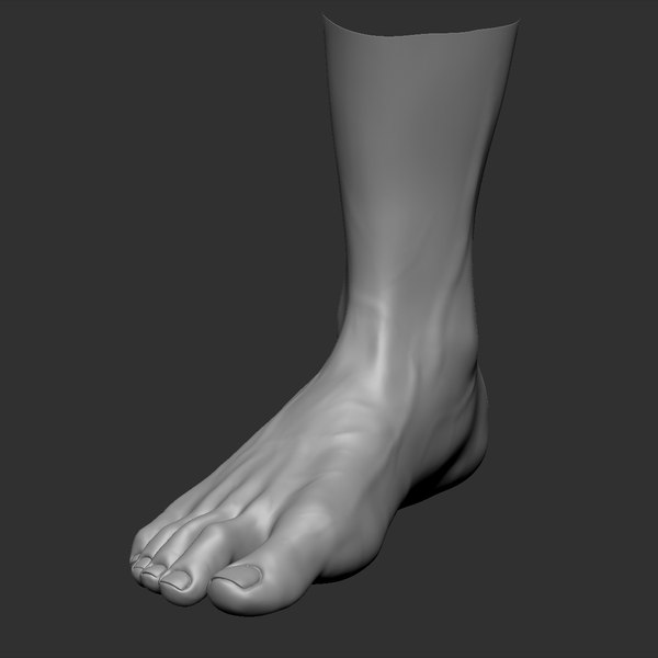 3D beauty foot model - TurboSquid 1218498