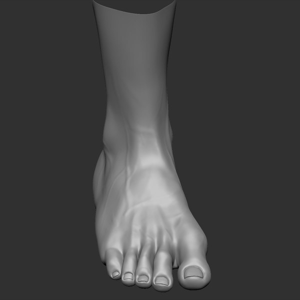 3d Beauty Foot Model - Turbosquid 1218498