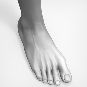 3D beauty foot model