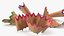 Pencil Shavings
