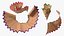 Pencil Shavings