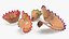 Pencil Shavings