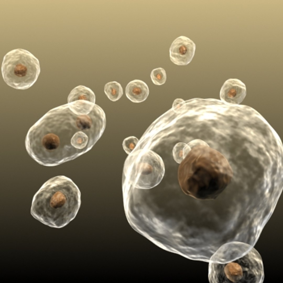 cells split 3d max