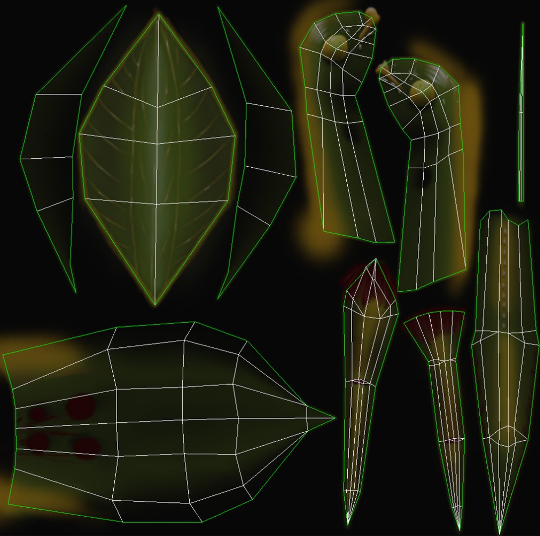 Mantis 3D - TurboSquid 2186162