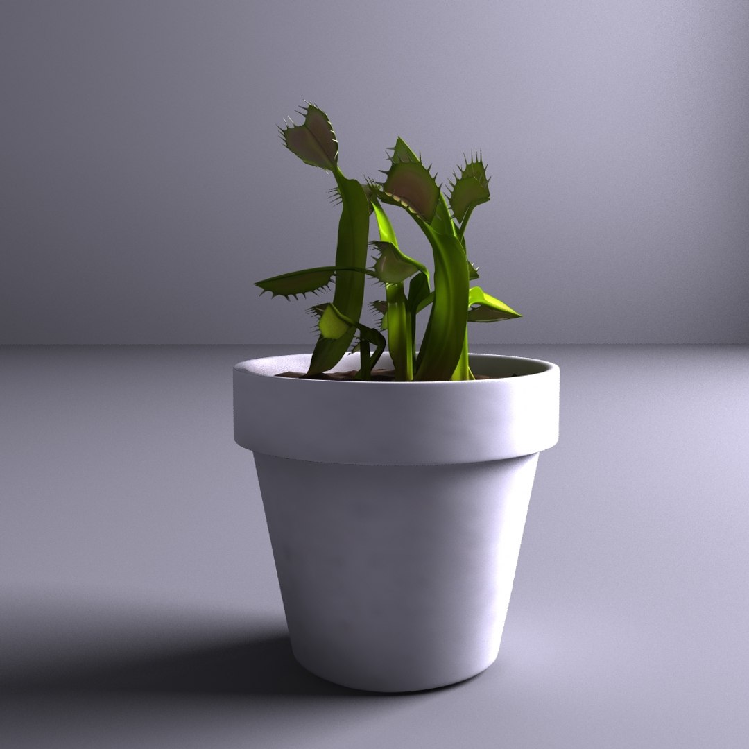 maya carnivorous plants https://p.turbosquid.com/ts-thumb/lt/LuHDjF/MVUFuRhj/3/jpg/1401808460/1920x1080/fit_q87/6ee32ba301740bd42e74e5645f10e73a0697ca31/3.jpg