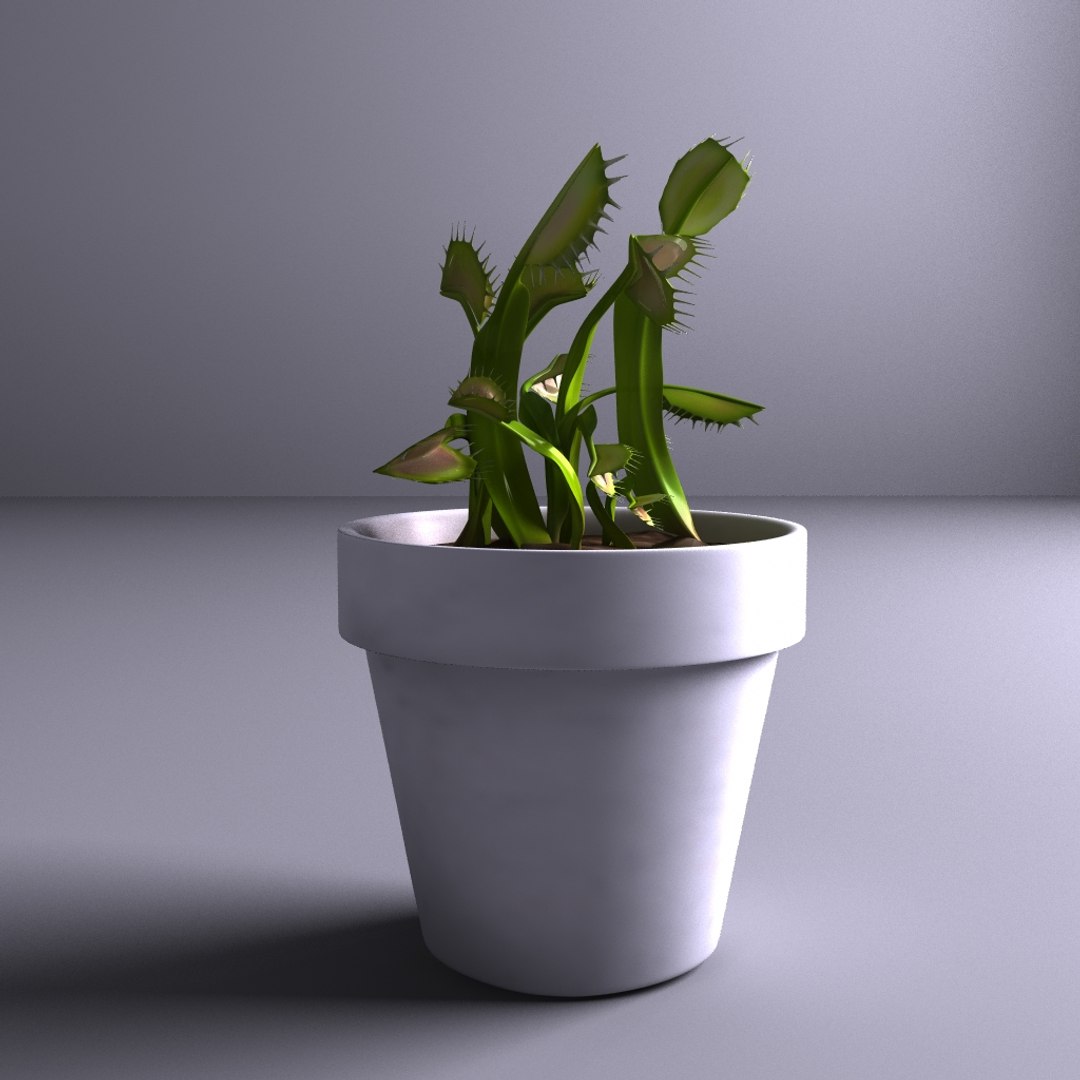maya carnivorous plants https://p.turbosquid.com/ts-thumb/lt/LuHDjF/MsMKBiWy/1/jpg/1401808423/1920x1080/fit_q87/0791081958e2742b48a3ac3b29754ab3648c71cb/1.jpg