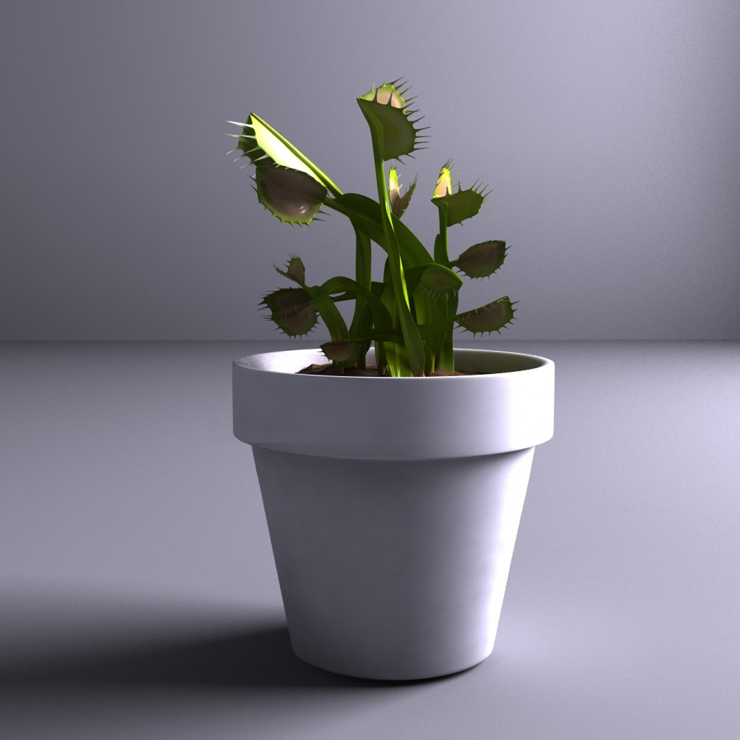 maya carnivorous plants https://p.turbosquid.com/ts-thumb/lt/LuHDjF/OoYGX0Pz/2/jpg/1401808425/1920x1080/fit_q87/41e2fdaf7381fdb48b78fe8f5ec58f0f74d6ff95/2.jpg