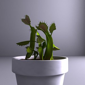 Carnivorous Plants