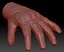 Tactical Glove