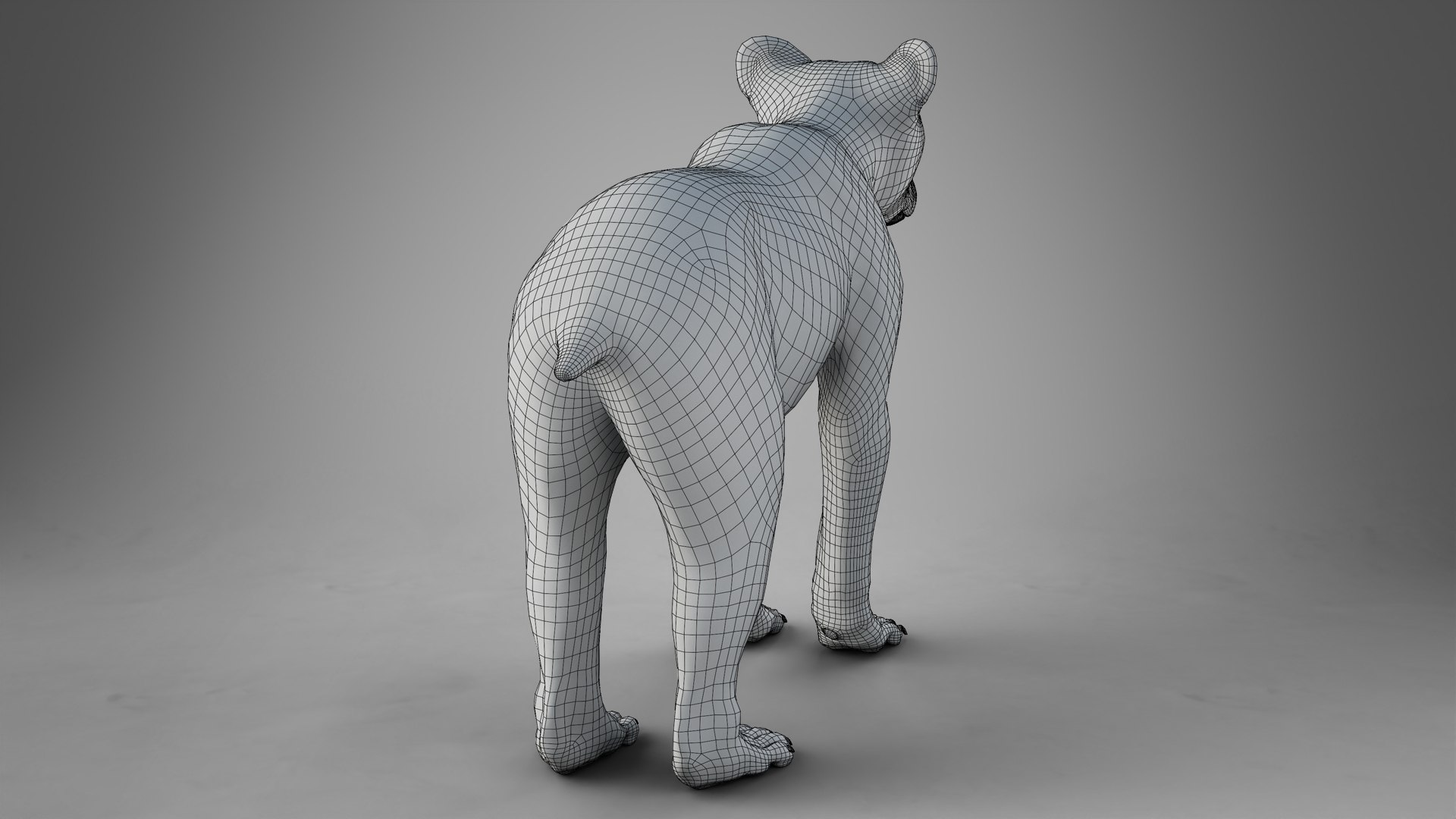 Little Brown bear Animated 3D model https://p.turbosquid.com/ts-thumb/lt/OI5x6s/bb/jw0n6w0a_ursusarctos_young_wire03/jpg/1703787036/1920x1080/fit_q87/091b3636eb1b8bebaf69b5614a8ea3b337f1f9c4/jw0n6w0a_ursusarctos_young_wire03.jpg