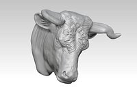 Bull bullfight