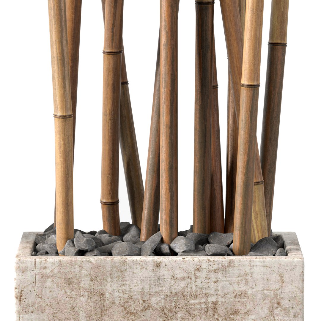 3D Bamboo decor n49 https://p.turbosquid.com/ts-thumb/lt/b4S5ep/4a/r30000/jpg/1788107600/1920x1080/fit_q87/240b409ed7686fc02aba27af1c3400f716d428e5/r30000.jpg