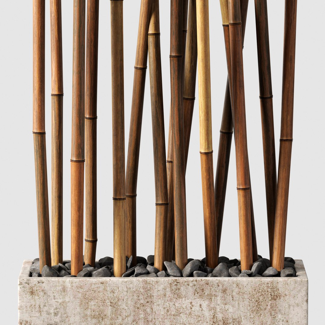 3D Bamboo decor n49 https://p.turbosquid.com/ts-thumb/lt/b4S5ep/Yd/r20000/jpg/1788107540/1920x1080/fit_q87/faaef1141e523a0d457b68e4b4c84dbb96a4d9b4/r20000.jpg