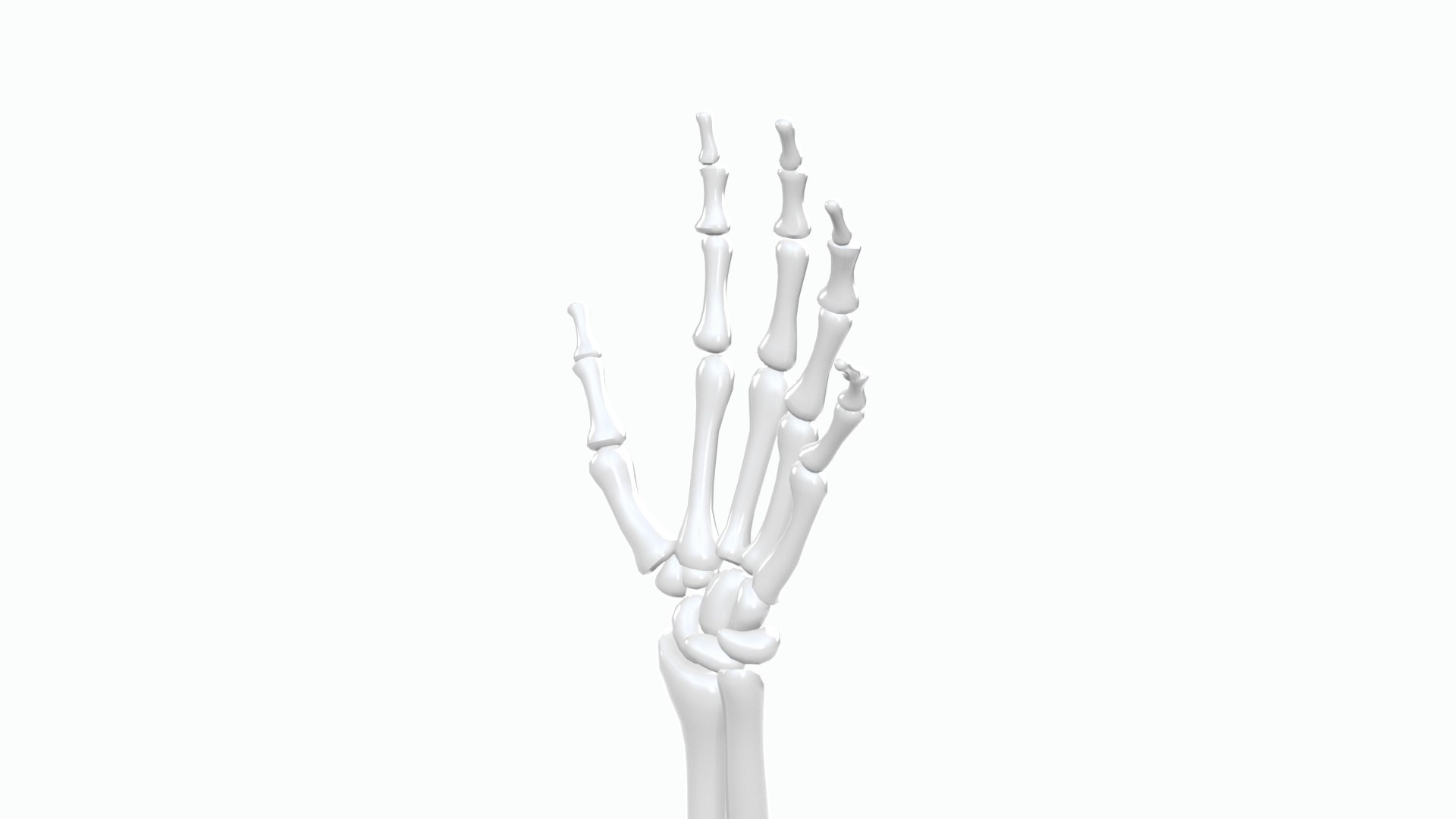 Skeleton Arm Model - TurboSquid 2389755