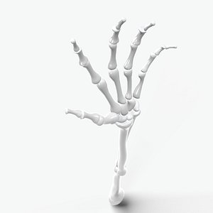 Skeleton arm model