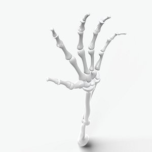 Skeleton arm