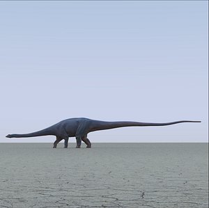 diplodocus