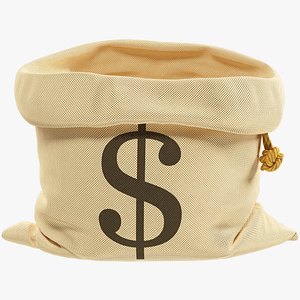 3D Money Bag V4