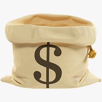 Money Bag V4