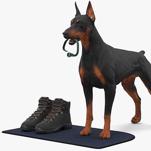 Walking Collar Doberman Pinscher