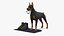 Walking Collar Doberman Pinscher 3D model