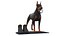 Walking Collar Doberman Pinscher 3D model