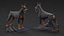 Walking Collar Doberman Pinscher 3D model