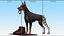 Walking Collar Doberman Pinscher 3D model