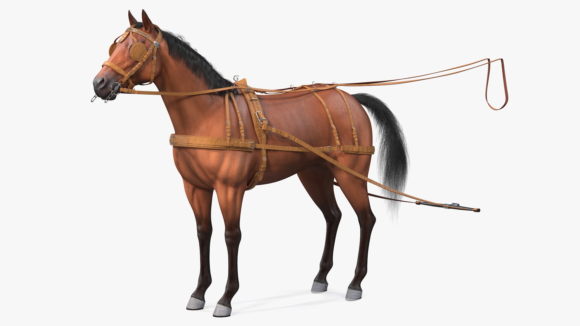 Horse Drawn Leather Single Driving Harness Fur Rigged 3D model preview