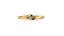 Women s ring diamond  print