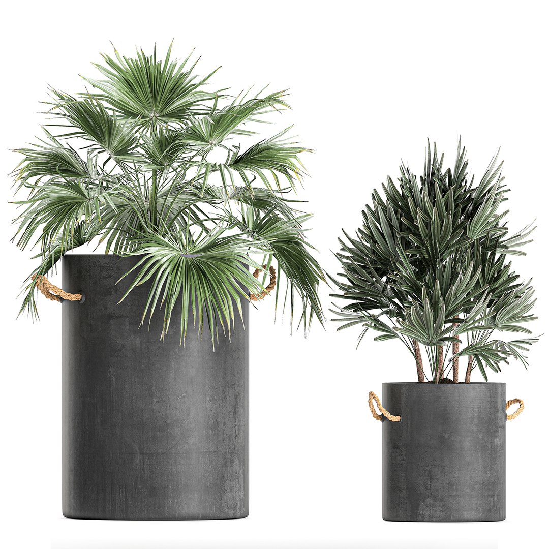 palm interior pots concrete 3D model https://p.turbosquid.com/ts-thumb/lu/OUl6nL/6OzFn4Ff/plantpot2306202003/jpg/1593002158/1920x1080/fit_q87/deff89603ad85866ca60aa110f6b328dae2f569d/plantpot2306202003.jpg