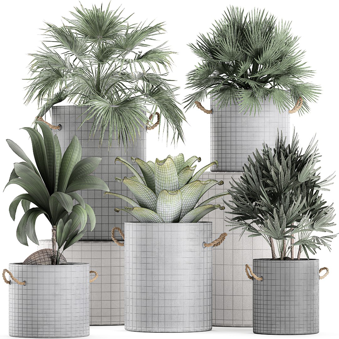 palm interior pots concrete 3D model https://p.turbosquid.com/ts-thumb/lu/OUl6nL/77ccloZB/plantpot2306202008/jpg/1593002158/1920x1080/fit_q87/73074327ce369a110da60828c0c671ab6c0271f3/plantpot2306202008.jpg
