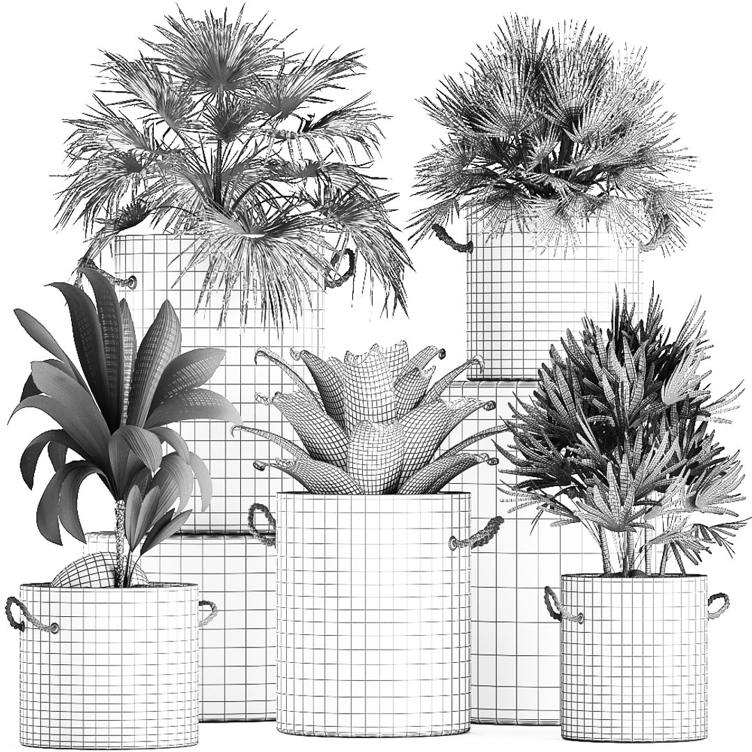 palm interior pots concrete 3D model https://p.turbosquid.com/ts-thumb/lu/OUl6nL/9bUfoB0M/plantpot2306202009/jpg/1593002158/1920x1080/fit_q87/295999274dc4c34184a085daef87c1c1b0c74440/plantpot2306202009.jpg