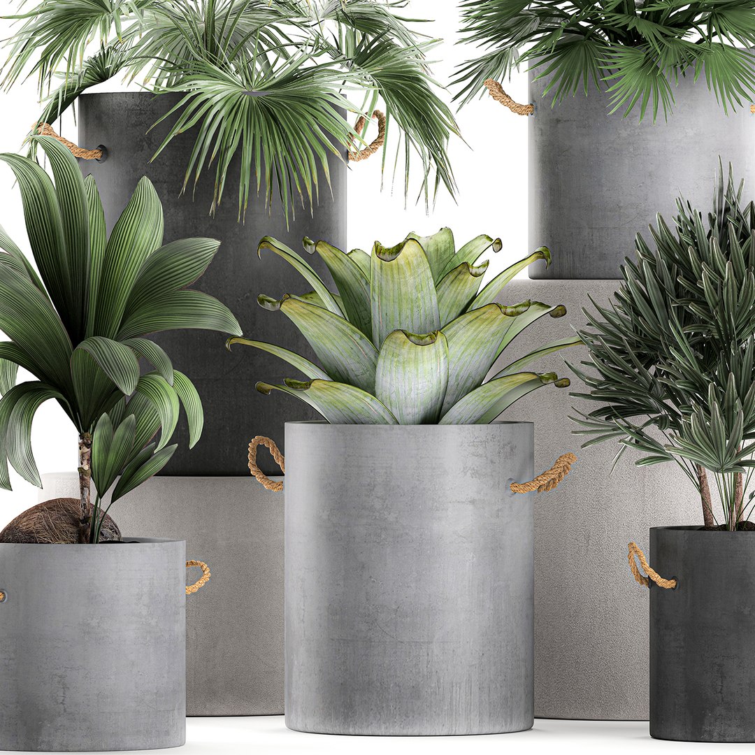 palm interior pots concrete 3D model https://p.turbosquid.com/ts-thumb/lu/OUl6nL/CfSUJd4y/plantpot2306202001/jpg/1593002158/1920x1080/fit_q87/5cdbbf76dffe9c3209f482183b50d5a4649637fb/plantpot2306202001.jpg