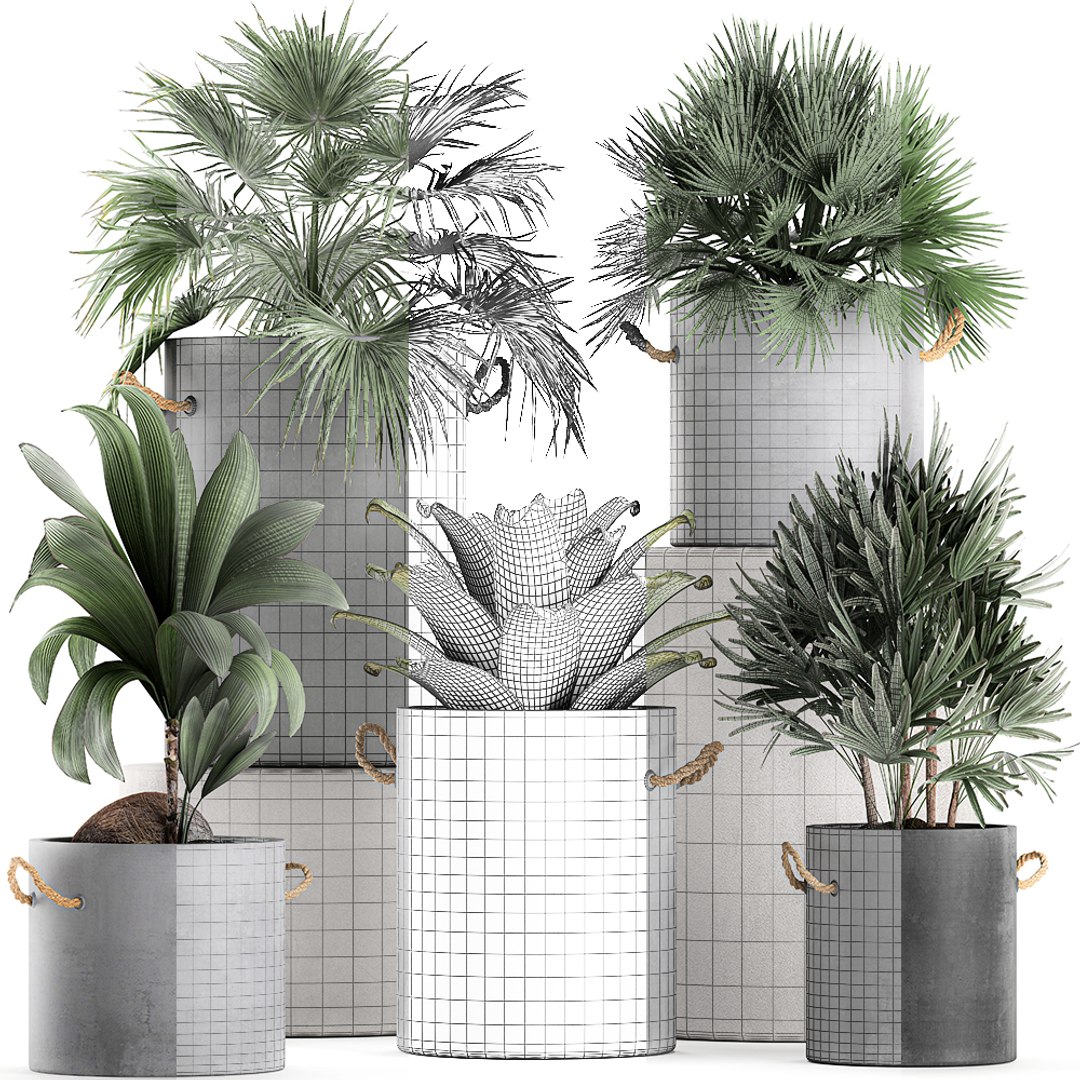 palm interior pots concrete 3D model https://p.turbosquid.com/ts-thumb/lu/OUl6nL/eewVv3Fg/plantpot2306202007/jpg/1593002158/1920x1080/fit_q87/ec16dc10946948434d291201854f7430c625c4ff/plantpot2306202007.jpg