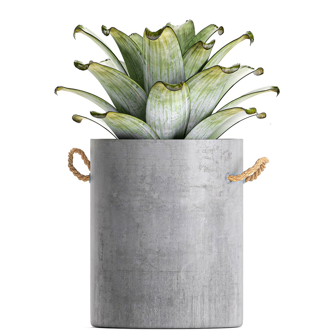 palm interior pots concrete 3D model https://p.turbosquid.com/ts-thumb/lu/OUl6nL/r0IIqX5l/plantpot2306202005/jpg/1593002158/1920x1080/fit_q87/b746ba07272e6f05001a5d62c3971c178ed799b6/plantpot2306202005.jpg