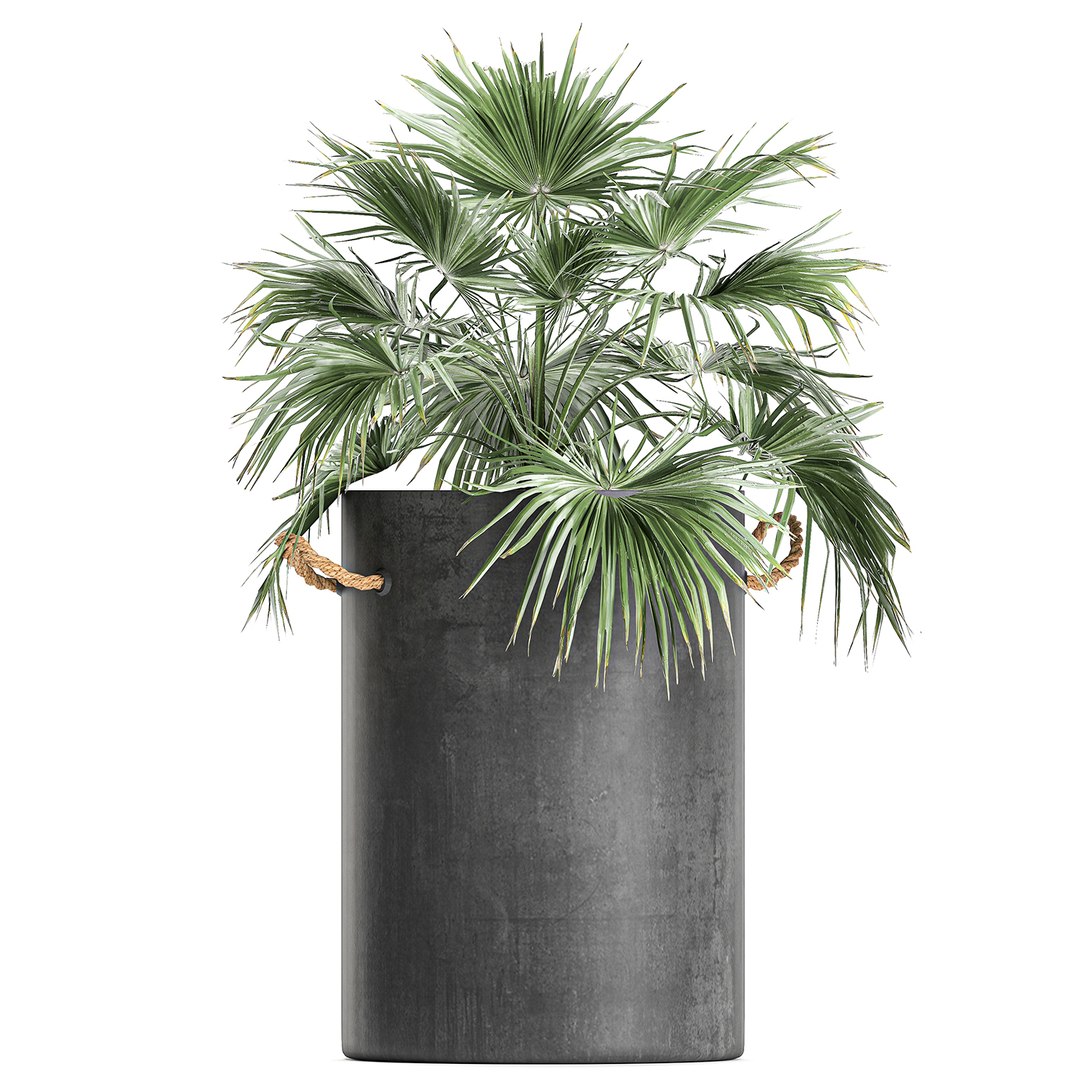 palm interior pots concrete 3D model https://p.turbosquid.com/ts-thumb/lu/OUl6nL/yXNd9ZgM/plantpot2306202006/jpg/1593002158/1920x1080/fit_q87/8a80e433a3df4cd9441fa7571b6941c7f6eedd53/plantpot2306202006.jpg