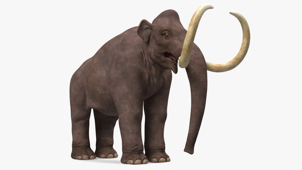 Modello 3D Mammoth adulto truccato TurboSquid 1807064