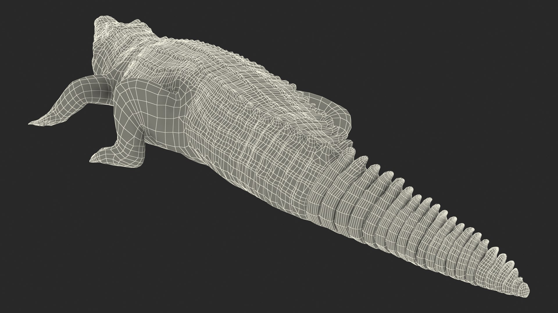 Crocodile Attack Animal Rigged 3D - TurboSquid 1447337