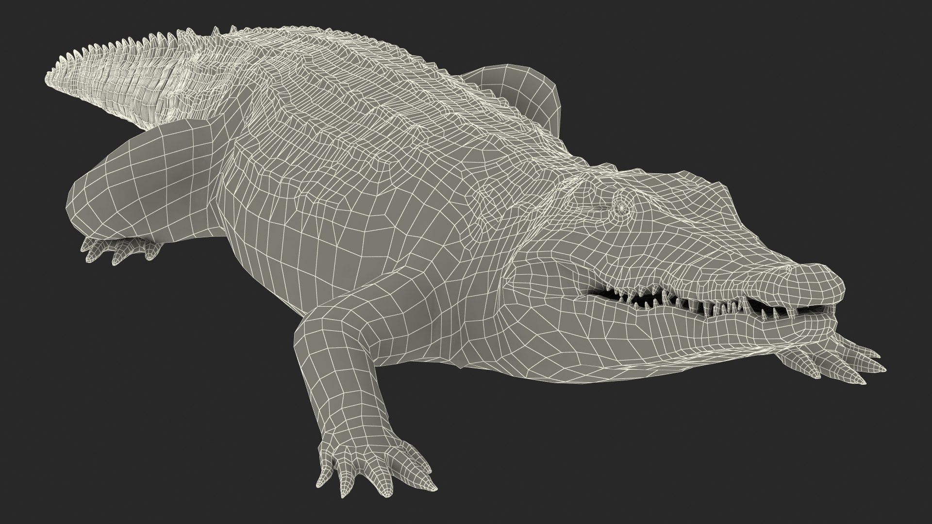 Crocodile Attack Animal Rigged 3D - TurboSquid 1447337