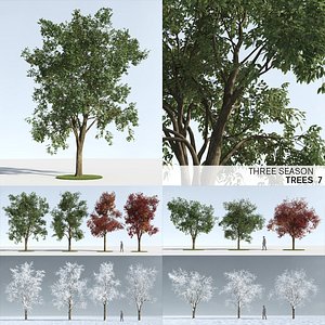 Three Season Trees 7 (+GrowFX)