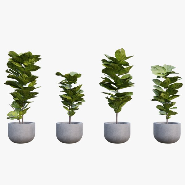 3D Speedtree Models | TurboSquid