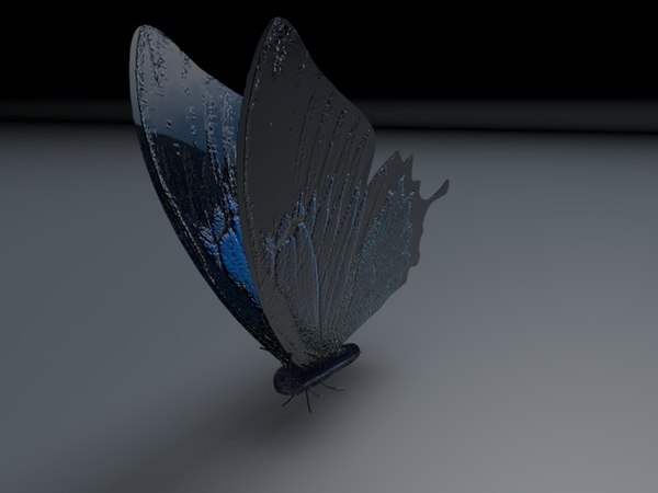 3d blue butterfly model