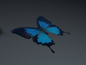 3d blue butterfly model